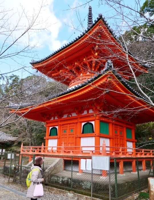   新春の紀三井寺　３　　２０１９-０１-０９　００：００_b0093754_23040660.jpg