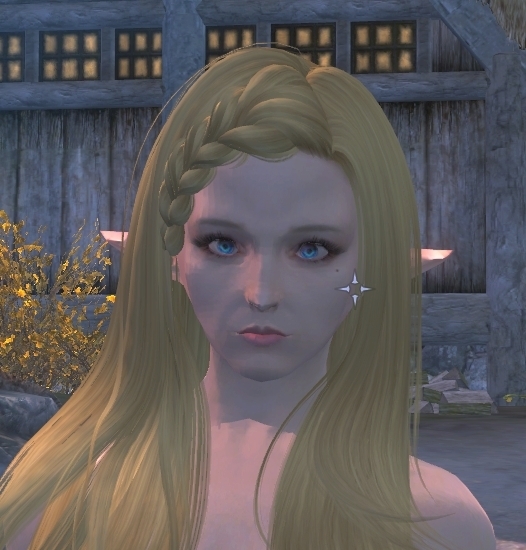 Skyrim ハイエルフでキャラクリをする 旅の記録