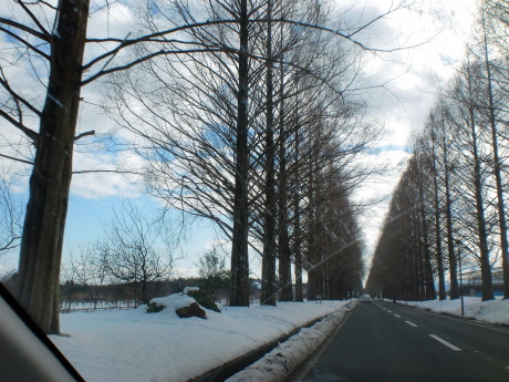 d0154954_09593996.jpg