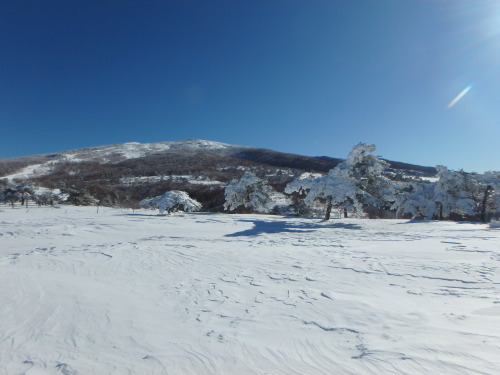 b0335256_10095567.jpg