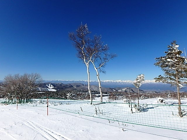 b0335256_10103821.jpg