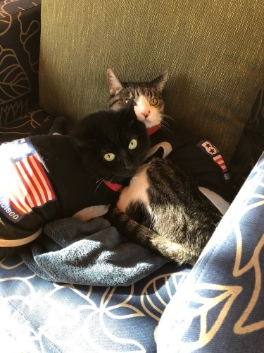 b0345457_22112480.jpeg