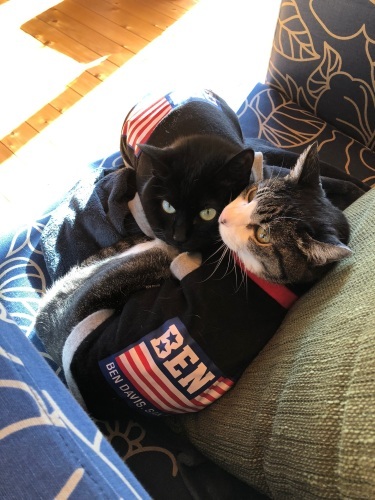 b0345457_22120715.jpeg