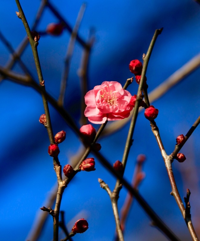 a0248459_15560881.jpg