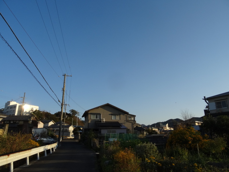 c0108460_16572210.jpg