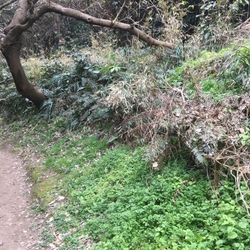 c0248467_05393305.jpeg
