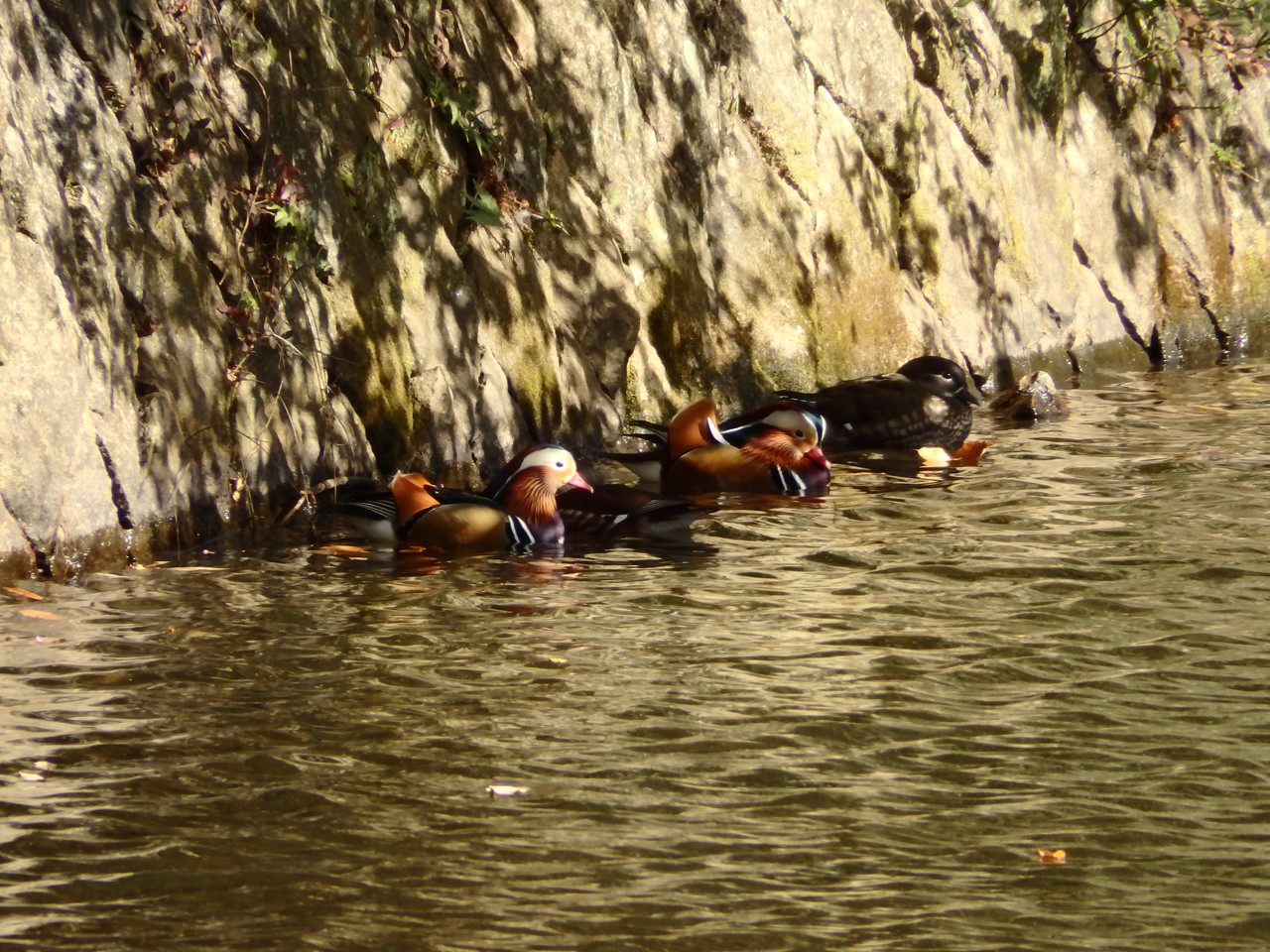d0054276_20183723.jpg