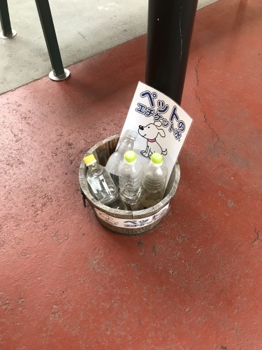 f0315081_17564318.jpeg