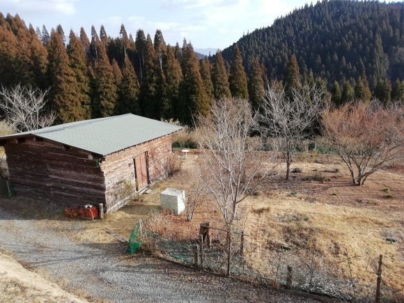 c0212083_19210270.jpg