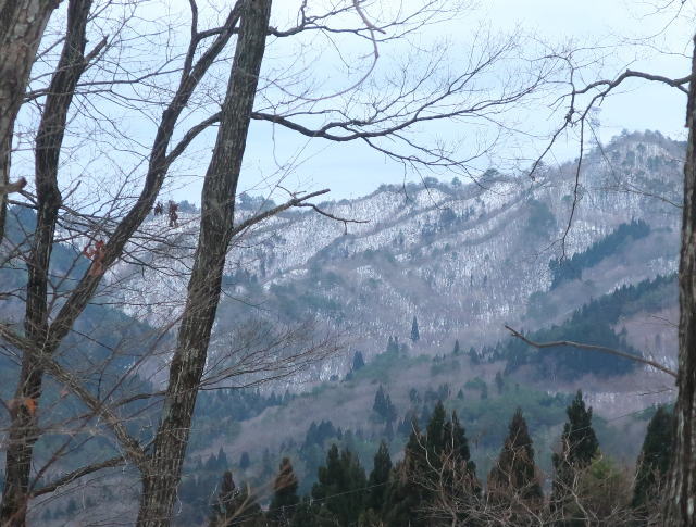 d0098183_13362471.jpg