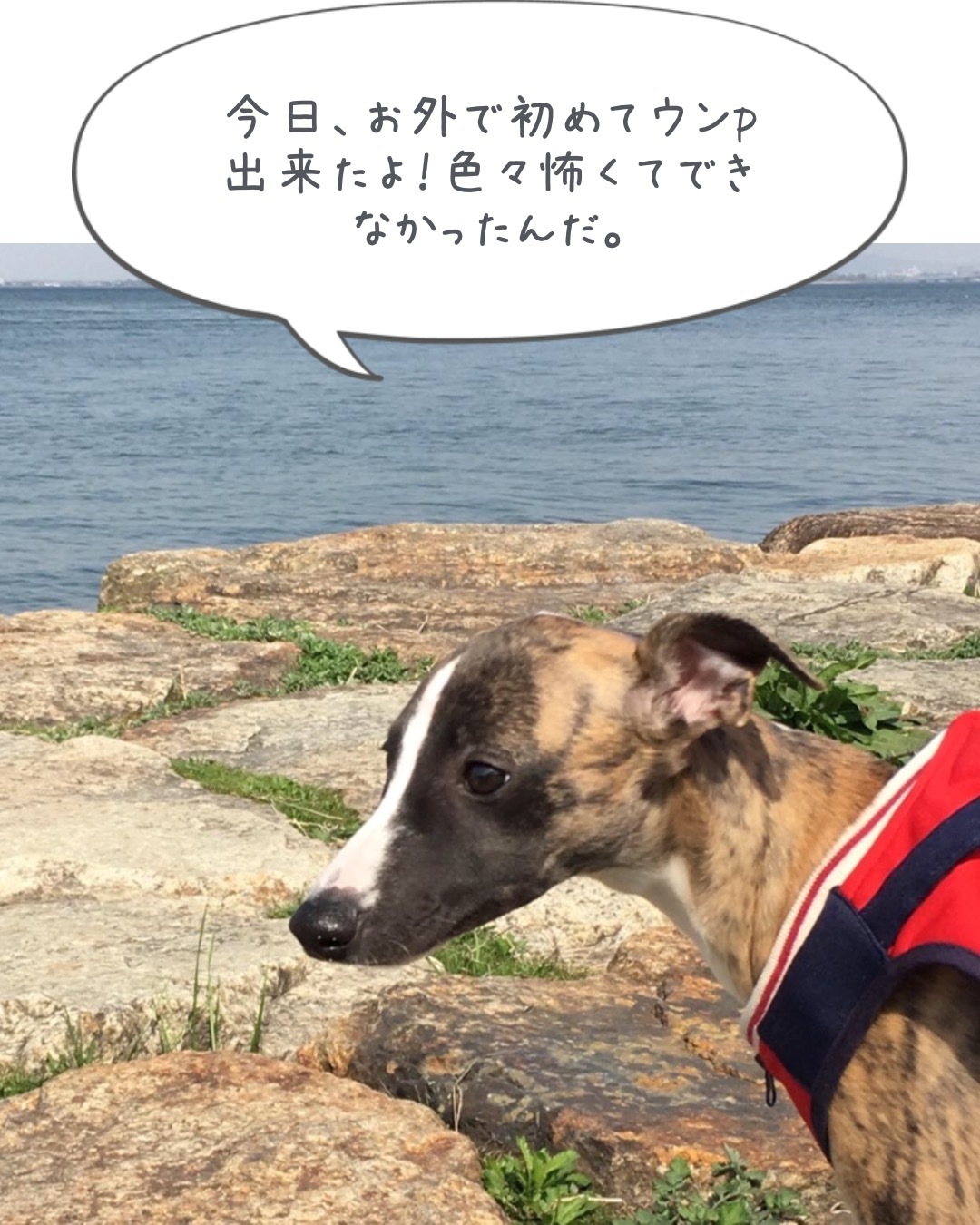 f0177788_09594240.jpeg