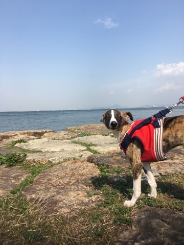 f0177788_10003691.jpeg