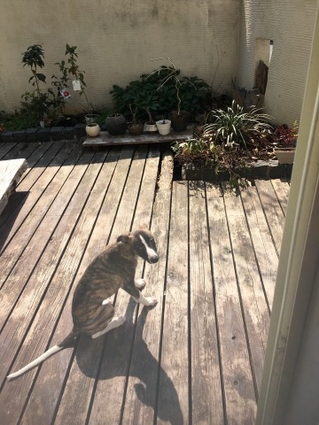 f0177788_10022699.jpeg