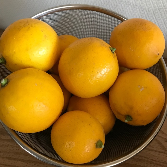 f0204295_16433820.jpg