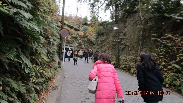c0133096_19152232.jpg
