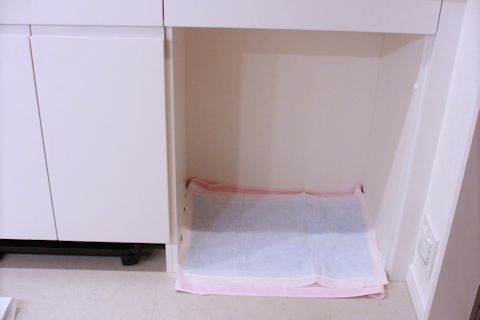 スモーキーのトイレ事情_c0090198_19552002.jpg