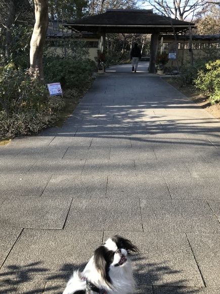 今日は約8キロちょい歩きました_a0155999_22210416.jpeg