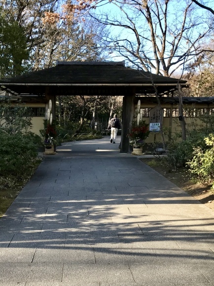 今日は約8キロちょい歩きました_a0155999_22224992.jpeg