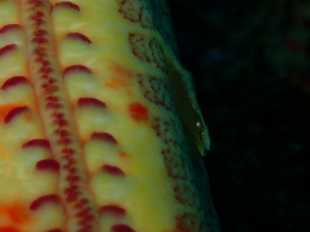 e0115199_13201268.jpg