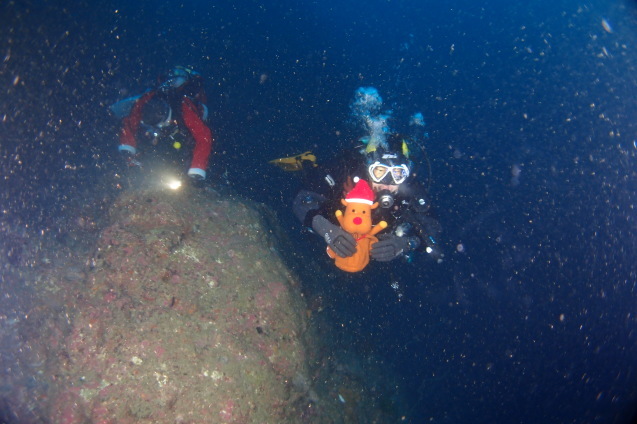 e0115199_13291562.jpg