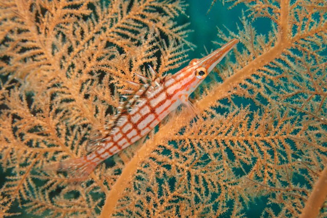 e0115199_14282721.jpg