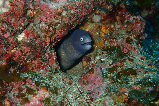 e0115199_14285002.jpg
