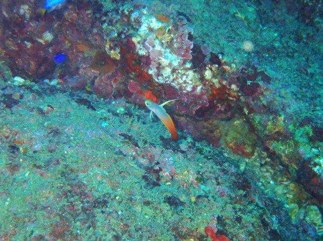 e0115199_14301575.jpg