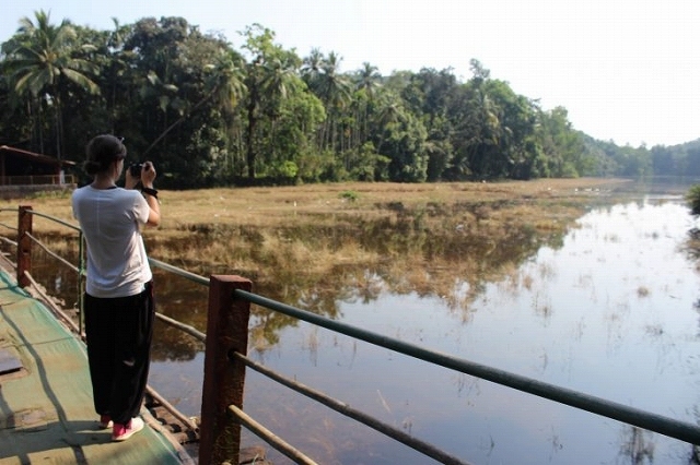 次男のインド旅行32　Goa_b0064411_06380299.jpg