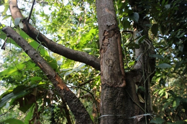 b0064411_06381563.jpg