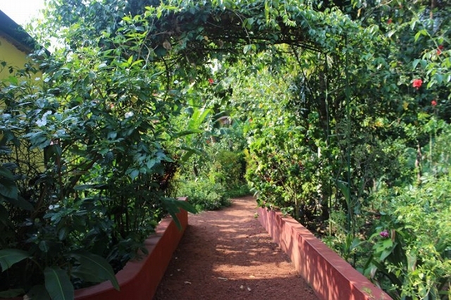 b0064411_06381572.jpg