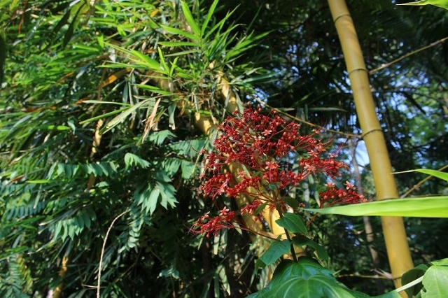 b0064411_06381657.jpg