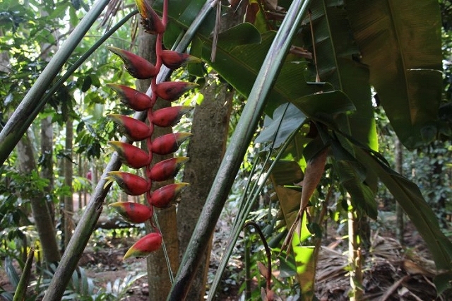 b0064411_06385123.jpg