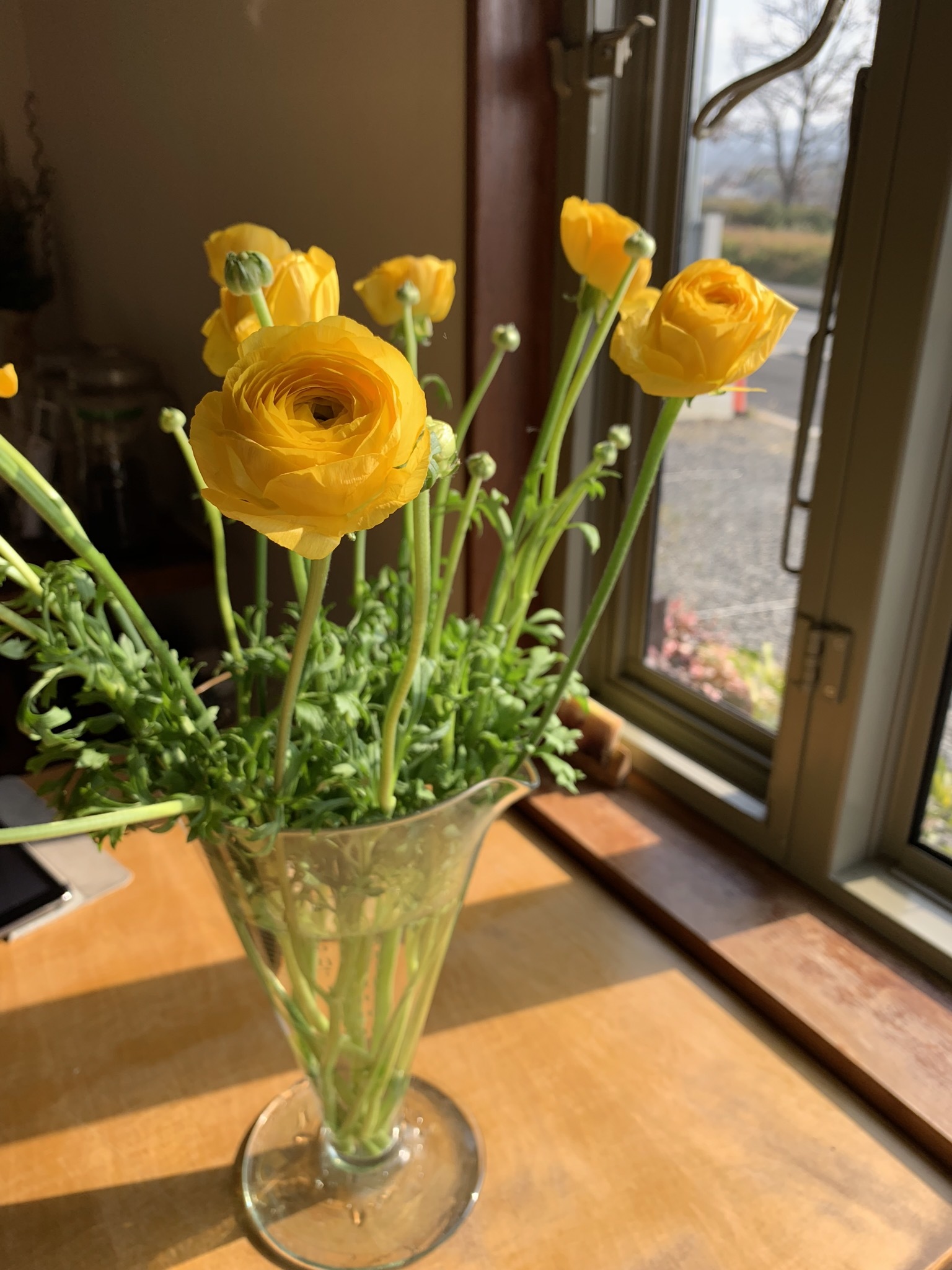 a0212612_14330780.jpeg