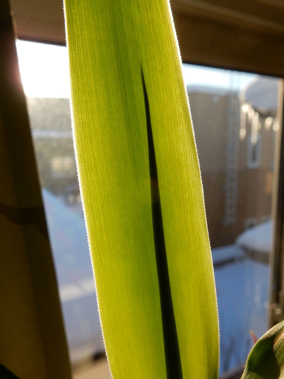 1月8日のtwitter_c0025115_22084760.jpg
