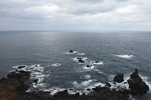 b0259218_05391542.jpg