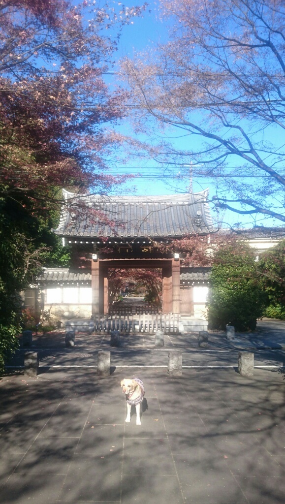 b0339522_00073550.jpg