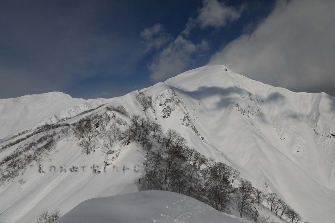 b0062024_16215851.jpg