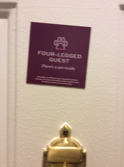 d0269832_23573920.jpeg