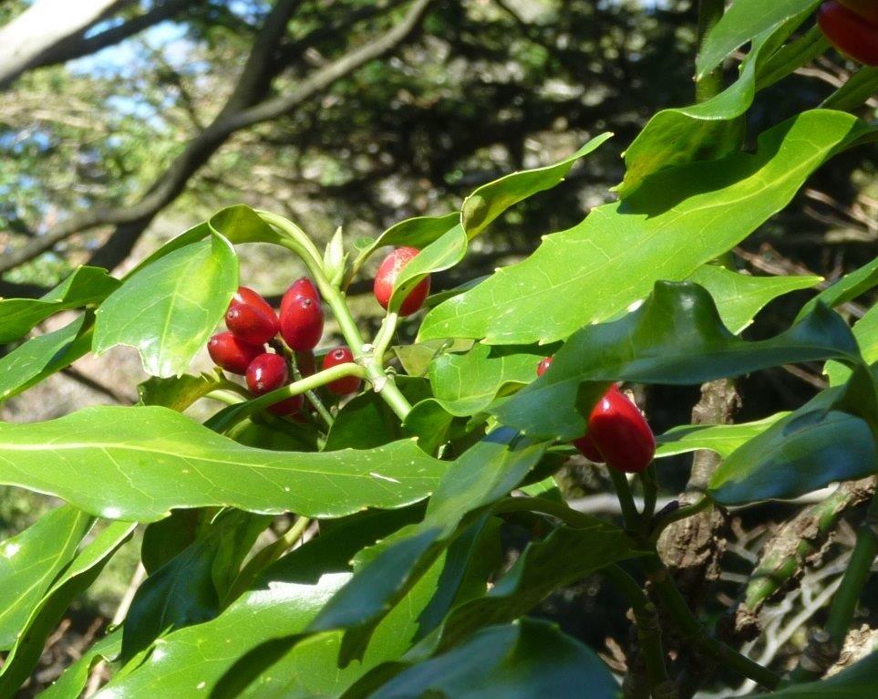 b0298935_22284937.jpg