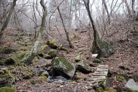 e0272335_19251389.jpg
