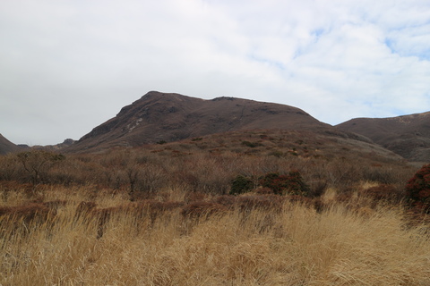 e0272335_19285078.jpg