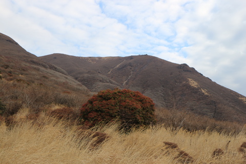e0272335_19313779.jpg