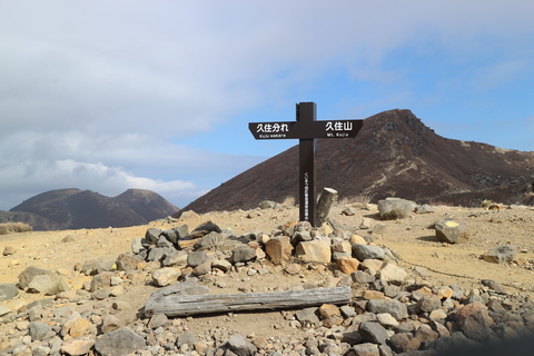 e0272335_2003752.jpg