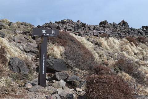 e0272335_2011438.jpg