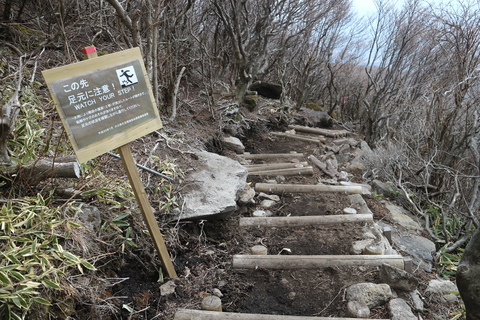 e0272335_20131862.jpg