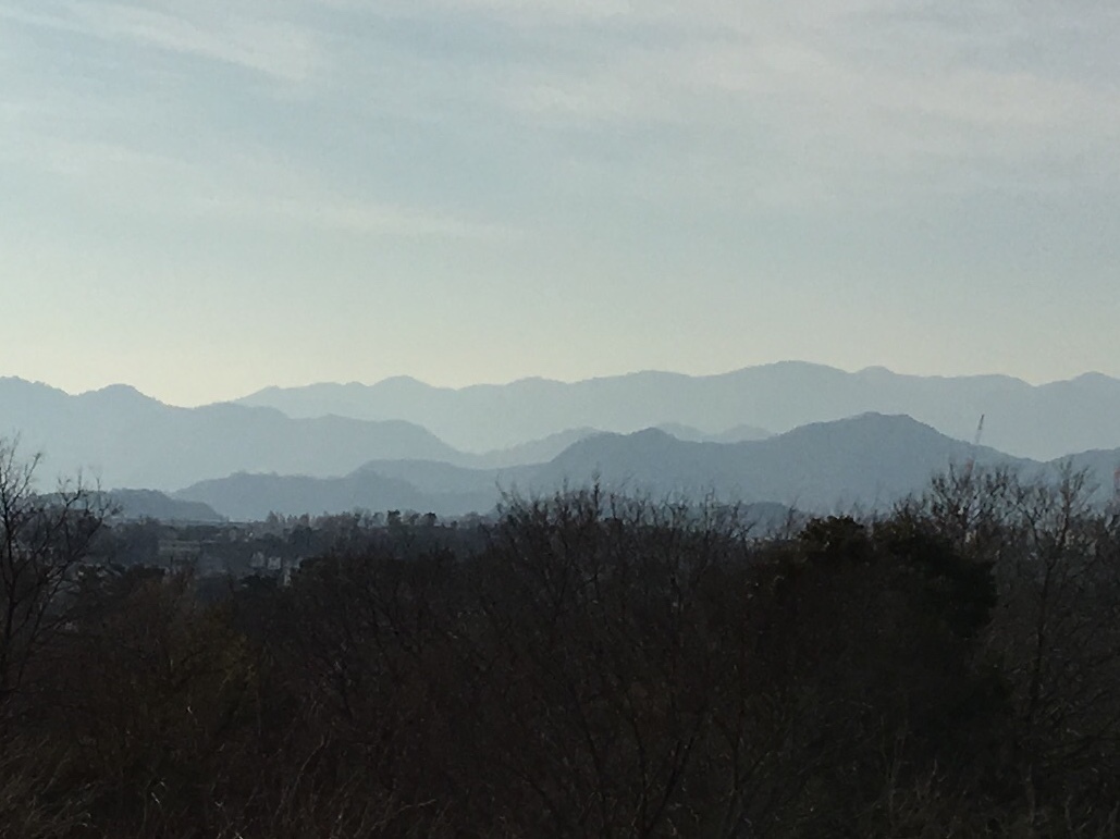 b0330040_16270910.jpeg