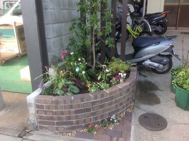 新年あけましておめでとうございます_e0128446_11434149.jpg