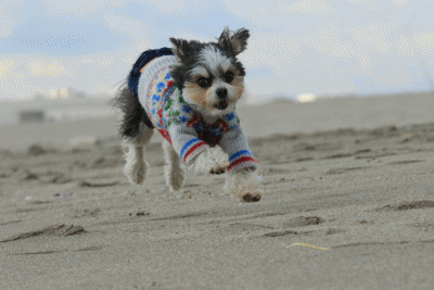 c0145250_14551262.gif