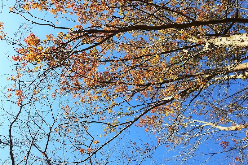 b0236251_11434454.jpg