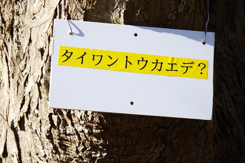 b0236251_11434800.jpg